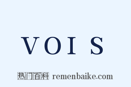 VOIS是什么意思的图片